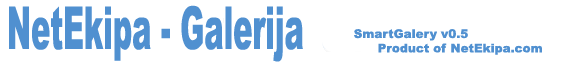 NetEkipa Gallery Home Page